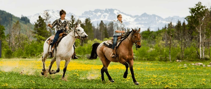 Confident plus-size woman riding Binley a horse through a field with a smile on her face.